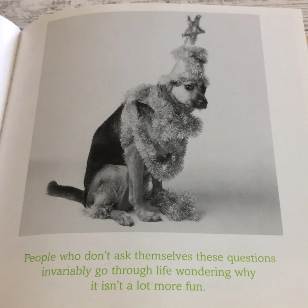The Meaning of Life Bradley Trevor Greive Hardcover Book Animal Photos Gift